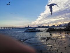 -星海广场