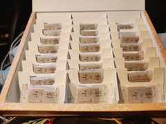 -阮大兴糕团(滨江宝龙店)