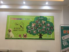 -翊宠yipet猫狗购宠庄园犬舍•猫舍