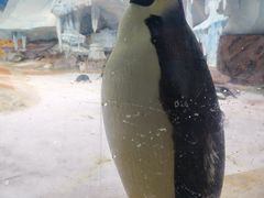 -海合安武汉极地海洋公园