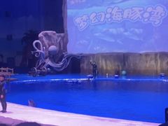 -华夏文旅海洋公园