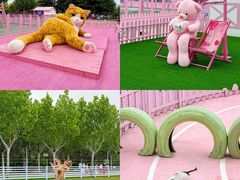 -渔岛海洋度假区