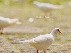 -上海野生动物园