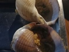 -八一湛江生蚝(文明东路总店)
