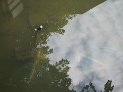 -小洲村