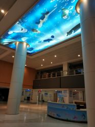 -厦门市儿童医院