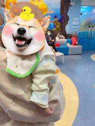 -马博士婴幼儿游泳馆(广安门旗舰店)