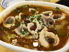 -焯明脆肉鲩世家(金沙洲店)