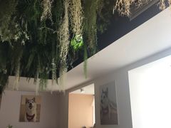 -Husky Go! 哈士奇体验馆·宠物咖啡厅狗咖