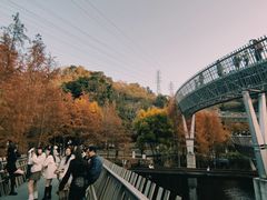 -福道
