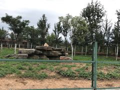 -秦皇岛野生动物园