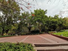 -晓港公园