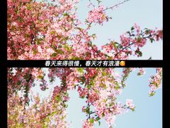 -上海辰山植物园