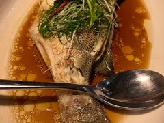 -九朝会昆曲·宴(望京店)