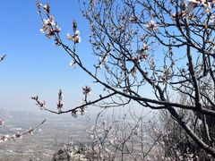 -鹫峰国家森林公园