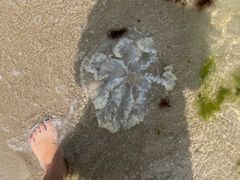 -碧海银沙景区