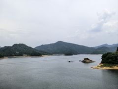 -酒仙湖景区