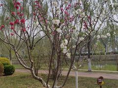 -南翠屏公园