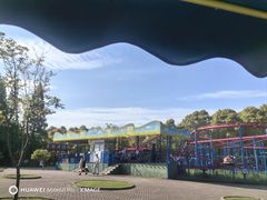 -上海滨江森林公园