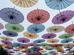 -都江堰玫瑰花溪谷
