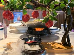 -唐猫庭院·千年陕菜(大唐不夜城店)