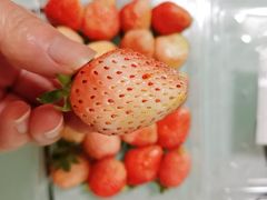 -浦东食品城(华诚大厦店)