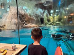 -帝企鹅自助餐厅•儿童岛•真企鹅(长隆企鹅酒店)