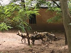 -大连森林动物园