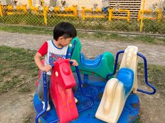 -廊坊固安福朋喜来登酒店