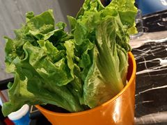 -古乐牛香·鲜牛肉牛杂火锅(五一中路店)