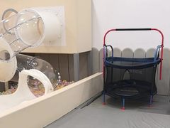 -龙格亲子游泳·水育早教运动中心(龙湾天街店)