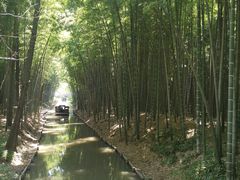 -同里国家湿地公园