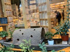 -猫的天空之城概念书店(杭州南宋御街店)