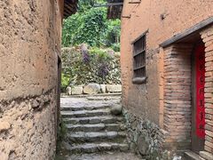 -杨家堂村