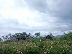 -武陵山森林公园