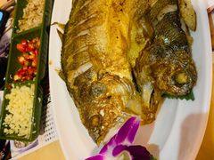 -龙泉人椰子鸡.糟粕醋.海南菜(三亚旗舰店)