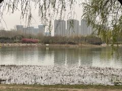 -郑州植物园