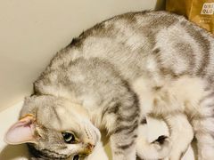 -小时光咖啡馆(北锣鼓巷店)