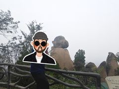 -嵖岈山风景区
