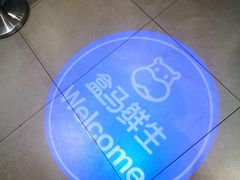 -盒马鲜生(莱蒙都会店)