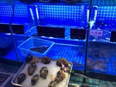 水产区-捞围鲜·港式打边炉(海阳路店)