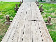 -北坞公园