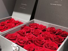 -ROSEONLY诺誓(磐基中心店)