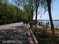 -丁香湖公园