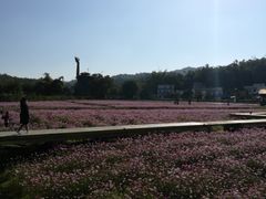 -红山村