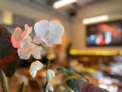 -Blac+Blac(中海环宇荟店)