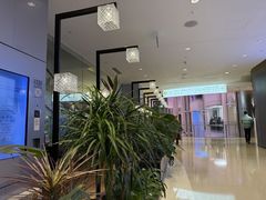 -THE WOODS 简餐 (国贸商城店)