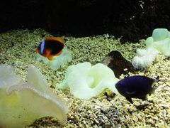 -福州罗源湾海洋世界旅游区