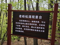 -五女峰国家森林公园