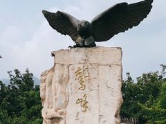 -北京鹫峰国家森林公园